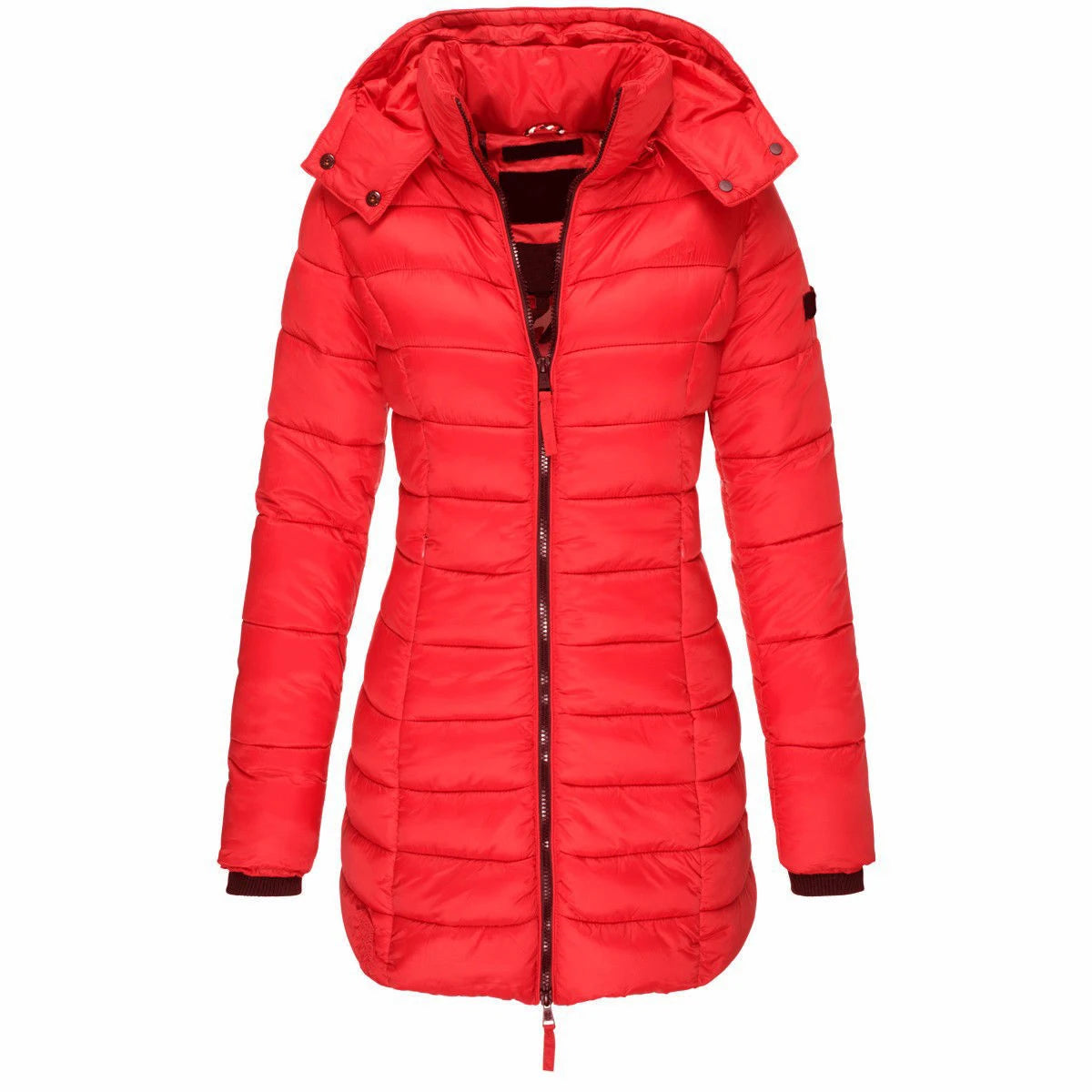 Winter Zipper Hooded Cotton Padded Jackets