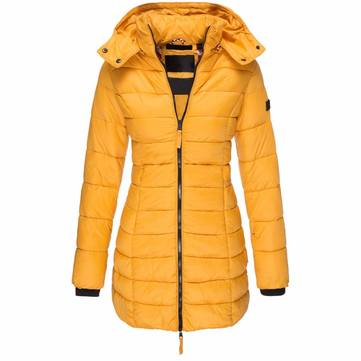 Winter Zipper Hooded Cotton Padded Jackets