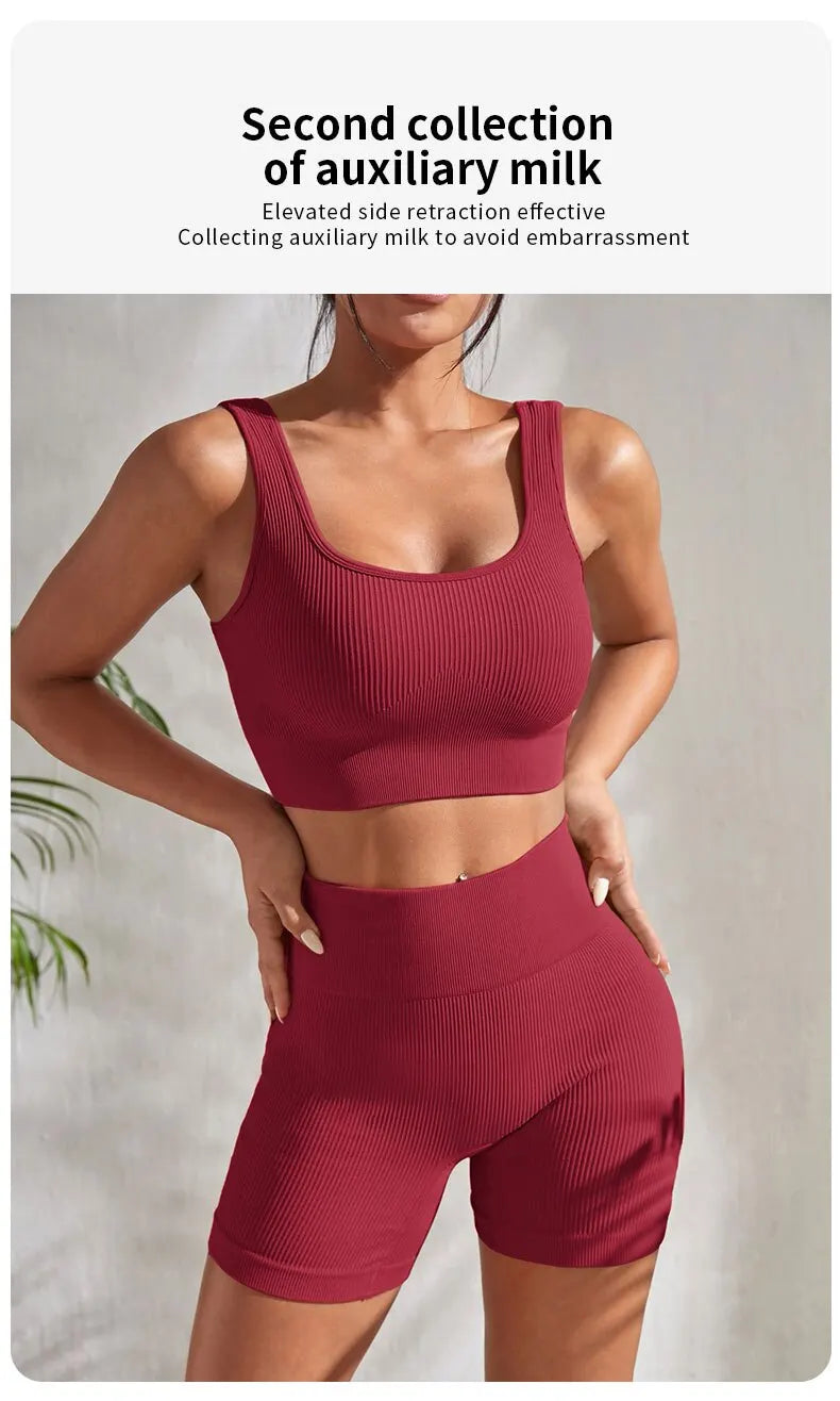 Seamless Ribbed Yoga Sets 
Workout Sets for Women in 2 Pieces