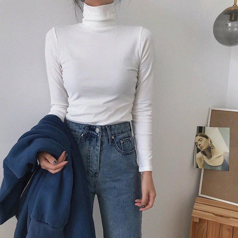 Autumn Long Sleeve Turtleneck