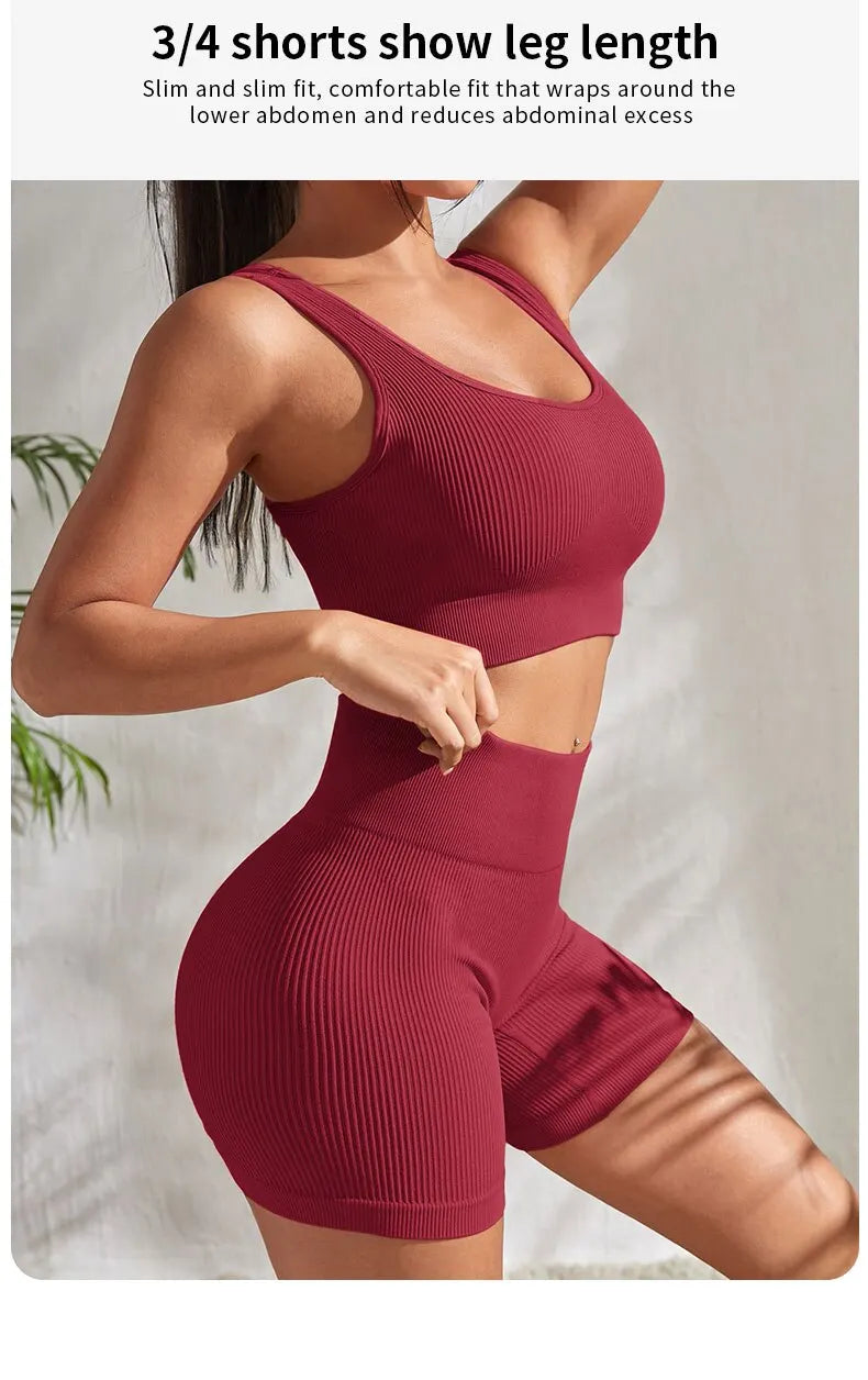 Seamless Ribbed Yoga Sets 
Workout Sets for Women in 2 Pieces