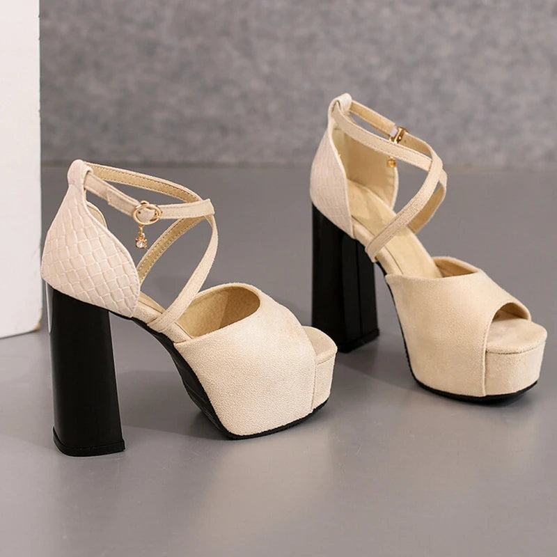 Elegant Open Toe Women Sandals 12cm Thick Block Heel 4cm Platform Buckles Cross Strap